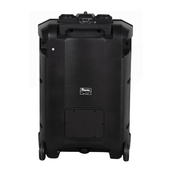 THUNDER THS-B1502BTW audio system