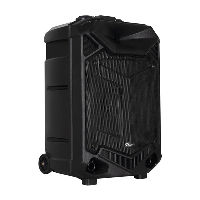 THUNDER THS-B1502BTW audio system
