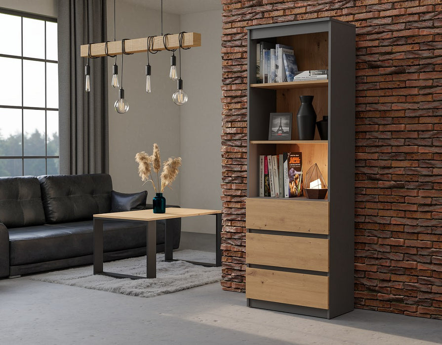 Topeshop RS-60 ANT/ART KPL office bookcase