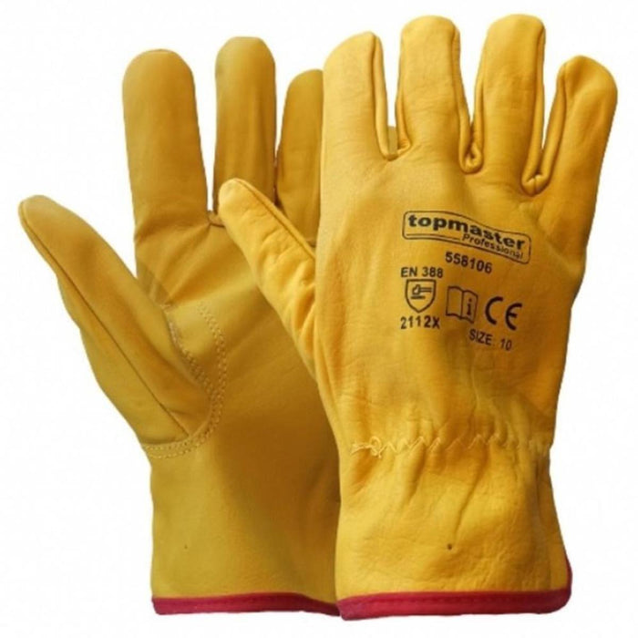 UNIVERSAL GLOVES PG06 TMP