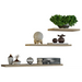 Topeshop TOBI 3P SONOMA shelve Floating shelf Wall mounted Particle board Oak Wood - Furniture wooden