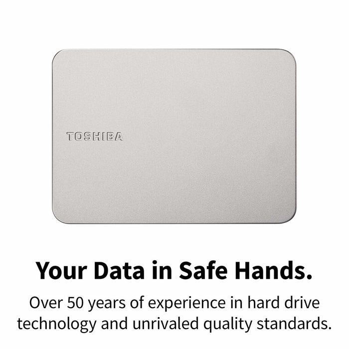 External Hard Drive Toshiba HDTX210ESCAA Grey Magnetic