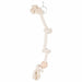 Toy for Birds Trixie 60 cm White Rope Knot - Домашни Животни<<<Дом Градина<<<BigBuy&&&Играчки<<<Домашни Животни<<<Дом