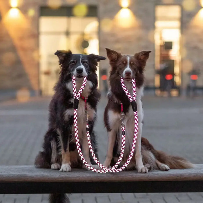 Training collar Trixie Cavo Graphite Azul Océano M/L 43-51 cm - Домашни Животни<<<Дом Градина<<<BigBuy&&&Пътуване и