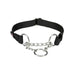 Training collar Trixie New Premium Black M/L 35-50 cm - Домашни Животни<<<Дом Градина<<<BigBuy&&&Пътуване и