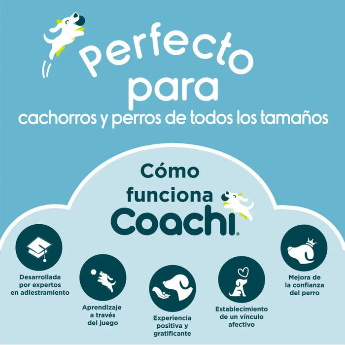 Training lead Coachi Blue Training - Домашни Животни<<<Дом Градина<<<BigBuy&&&Пътуване и разходки<<<Домашни