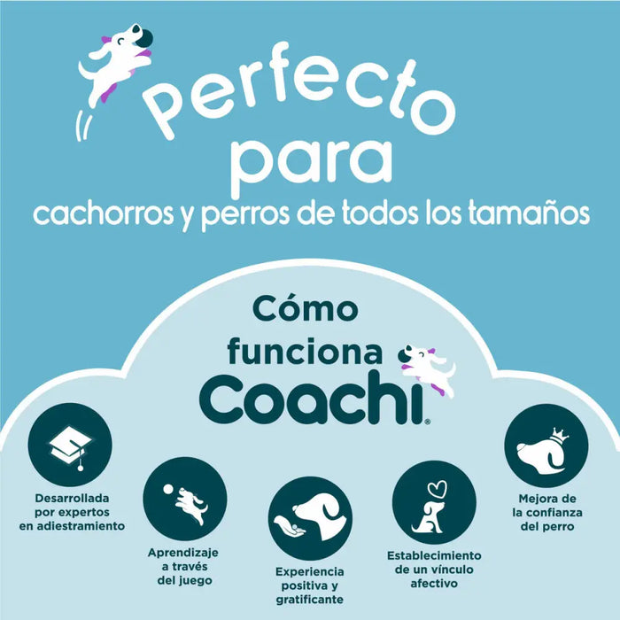 Training toy Coachi CHASE & TREAT Blue - Домашни Животни<<<Дом Градина<<<BigBuy&&&Играчки<<<Домашни Животни<<<Дом