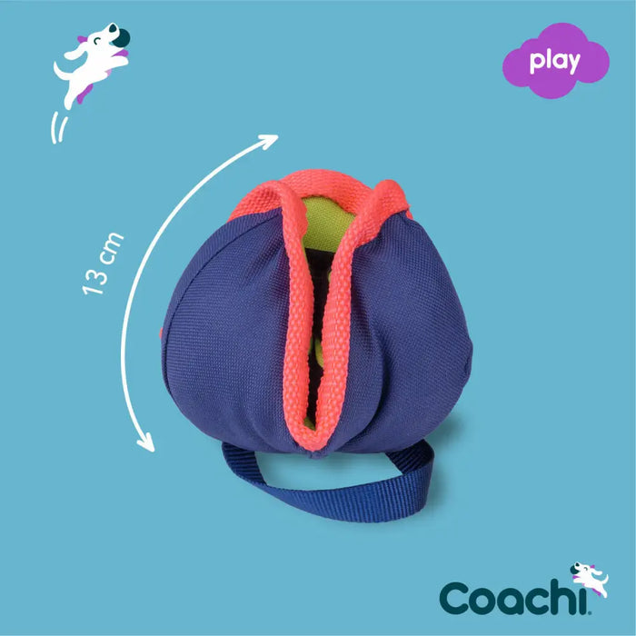 Training toy Coachi CHASE & TREAT Blue - Домашни Животни<<<Дом Градина<<<BigBuy&&&Играчки<<<Домашни Животни<<<Дом