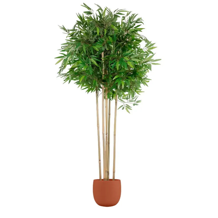 Tree Home ESPRIT Polyester Bamboo 80 x 80 x 180 cm - Декорация и Осветление<<<Дом Градина<<<BigBuy&&&Други артикули за