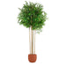Tree Home ESPRIT Polyester Bamboo 80 x 80 x 180 cm - Декорация и Осветление<<<Дом Градина<<<BigBuy&&&Други артикули за