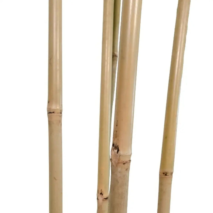 Tree Home ESPRIT Polyester Bamboo 80 x 80 x 180 cm - Декорация и Осветление<<<Дом Градина<<<BigBuy&&&Други артикули за