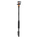 Tripod K&F Concept D254C1 + BH-28L - Tripods<<<Mounts<<<Tripods<<<Selfie Sticks<<<Booms<<<Photo and cameras<<<InnproXML