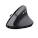 TRUST Bayo II Ergo Wireless Mouse Black - Mice<<<TRUST компютърна периферия и