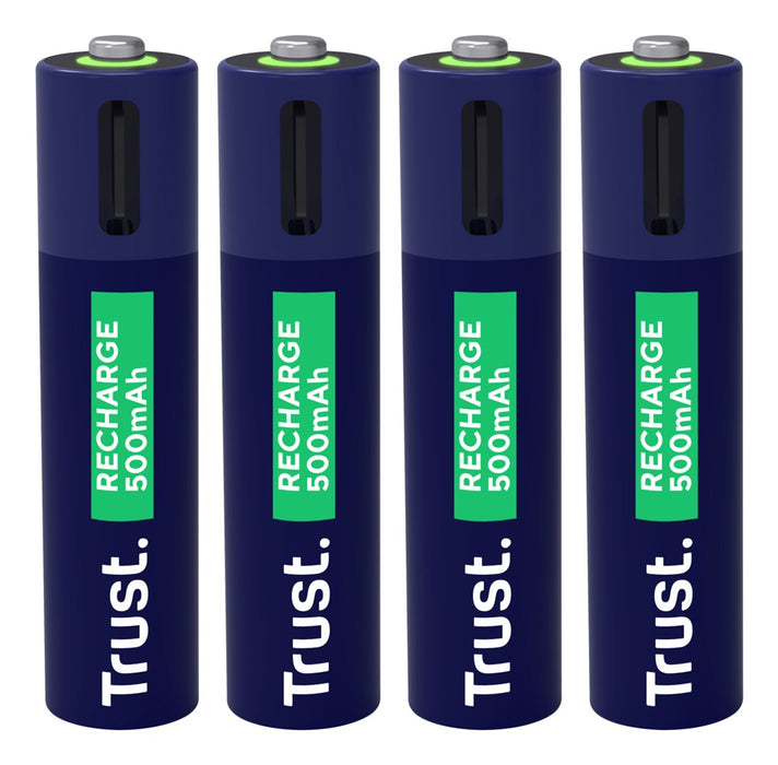 Batteries Trust 25671 AAA