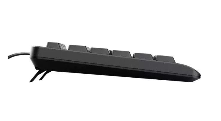 Trust Basics keyboard USB QWERTY US English Black