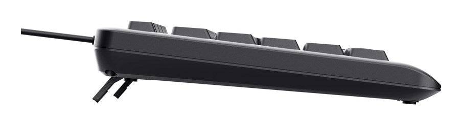 Trust Primo Beleuchtete keyboard Home/Office USB QWERTY US English Black