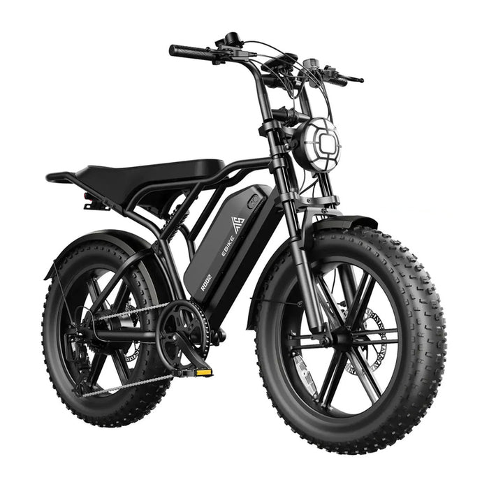 Electric bicycle TST R002 BASIC FAT BK 250 W, UP TO 25 KM/H, MILEAGE UP TO 75 KM, 20.00 "