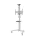 TV Mount Neomounts AFLS-825BL1 9 kg - Електроника Телевизори<<<Компютри| Електроника<<<BigBuy&&&Поставки за