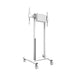 TV Mount Neomounts FL55-875WH1 - Електроника Телевизори<<<Компютри| Електроника<<<BigBuy&&&Поставки за