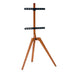 TV Mount TM Electron 45’’-65’’ 40 kg - Електроника Телевизори<<<Компютри| Електроника<<<BigBuy&&&Поставки за