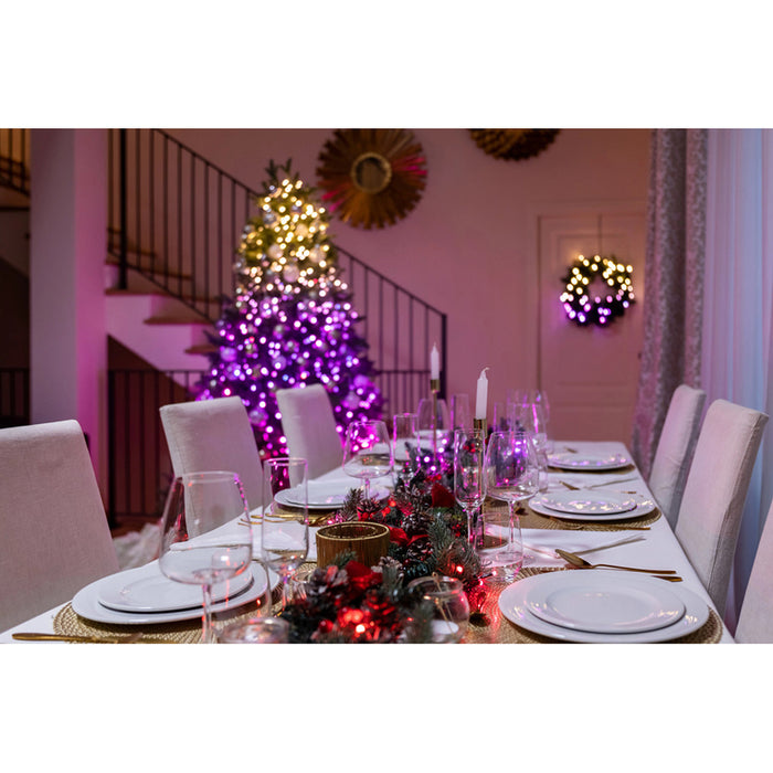 LIGHTING STRING 200CM 250LED TWINKLY TWS250SPP-BEU