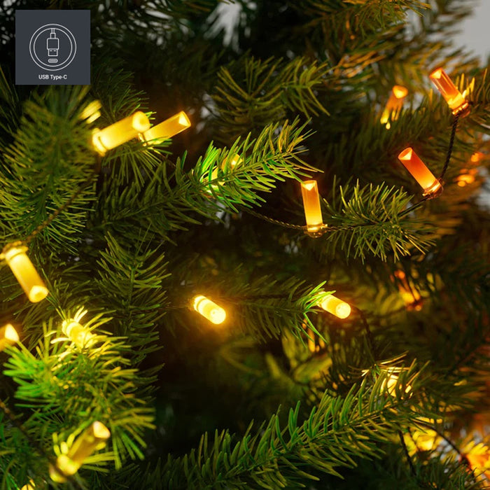 LIGHTING GARLAND 600CM 100LED TWINKLY TWKC100RGB-G