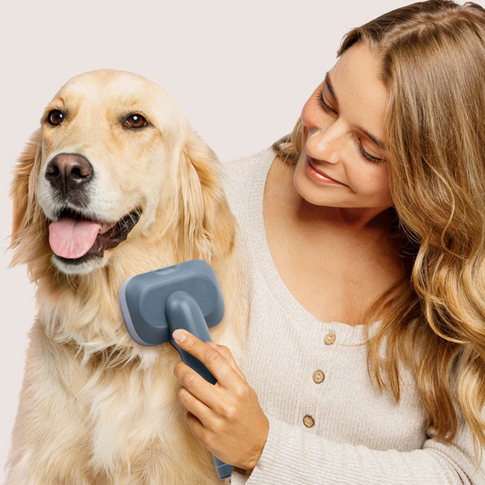 Vacuum cleaner UFESA PETBUDDY