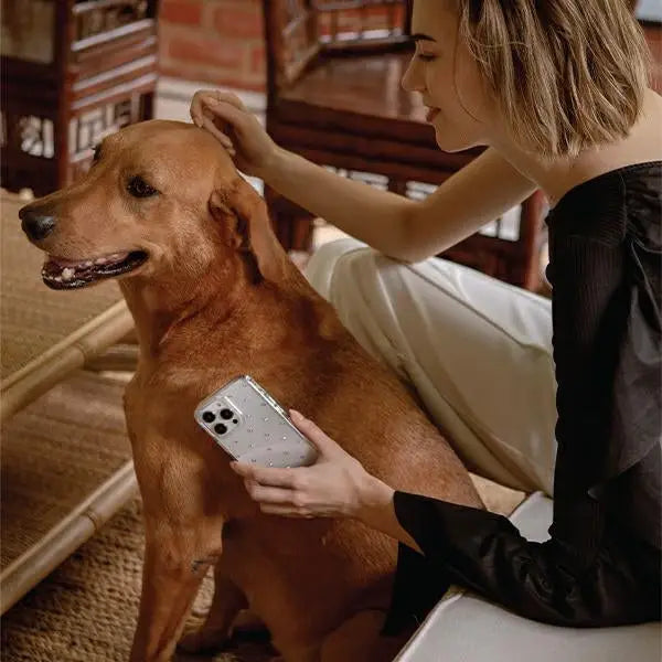 Uniq Coehl Solitaire case for iPhone 14 Plus - transparent - Cell phone cases and covers<<<HurtelXML