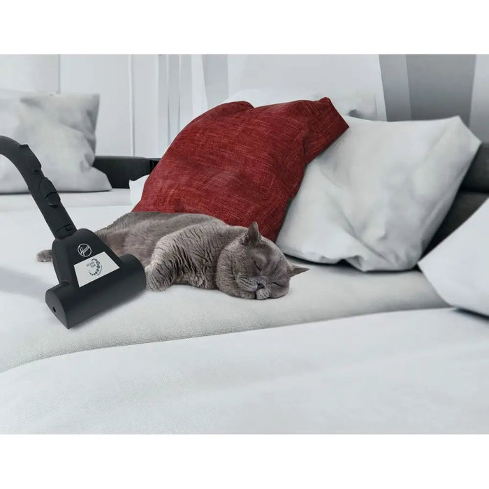 vacuum cleaner Hoover Green 850 W - Почистване Прахосмукачки И Гладене<<<Дом Градина<<<BigBuy&&&Прахосмукачки и