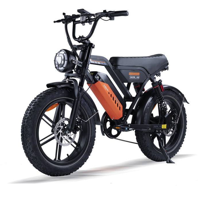 Electric bicycle VASTER A50