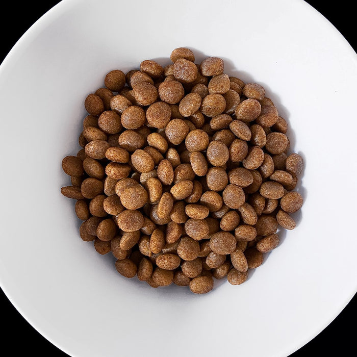 VET RESPONSE Hypoallergenic - dry dog food - 8kg