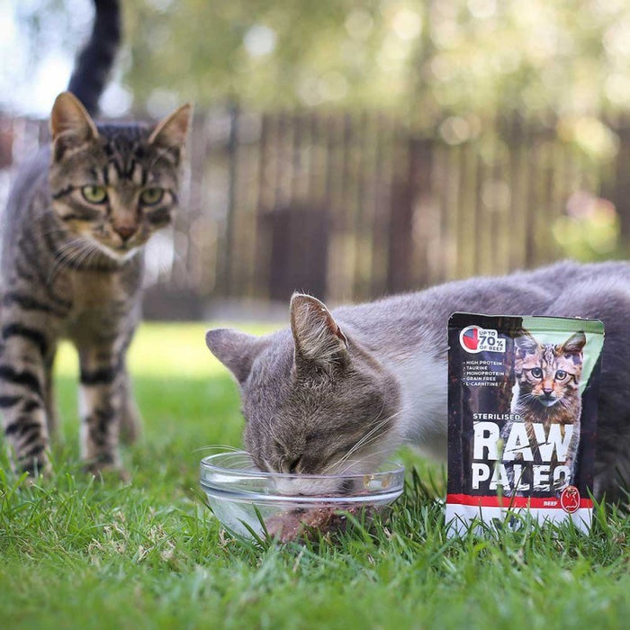 VETEXPERT Raw Paleo Adult Cat Sterilised Beef - wet cat food - 100 g