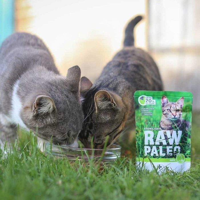 VETEXPERT Raw Paleo Adult Cat Sterilised Game - wet cat food - 100 g