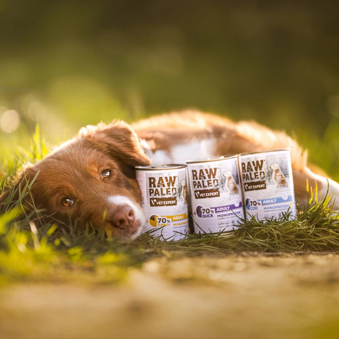 VETEXPERT Raw Paleo Adult Monoprotein Duck - wet dog food - 400 g