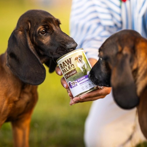 VETEXPERT Raw Paleo Adult Monoprotein Duck - wet dog food - 400 g