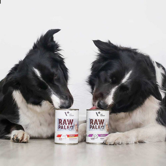 VETEXPERT Raw Paleo Adult Monoprotein Beef - wet dog food - 400 g