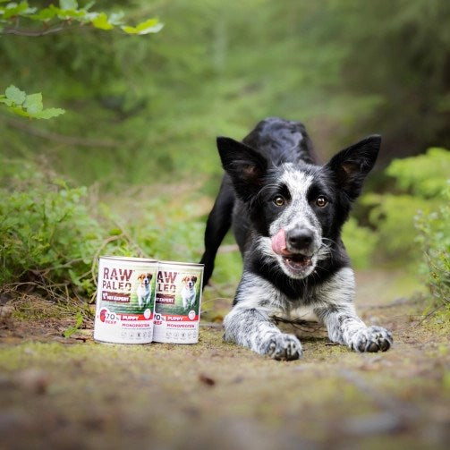 VETEXPERT Raw Paleo Puppy Monoprotein Beef - wet food for puppies - 400 g
