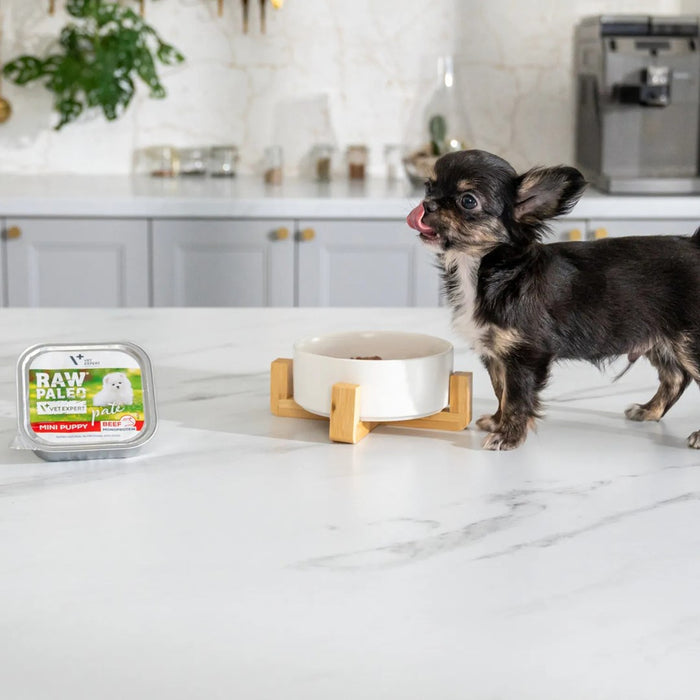VETEXPERT Raw Paleo Pate Mini Puppy Beef - wet food for puppies - 150 g