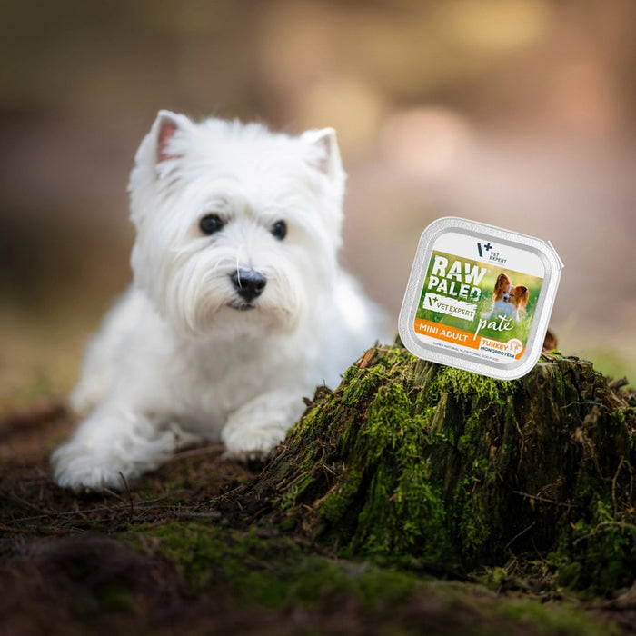 VETEXPERT Raw Paleo Pate Mini Adult Beef - wet dog food - 150 g