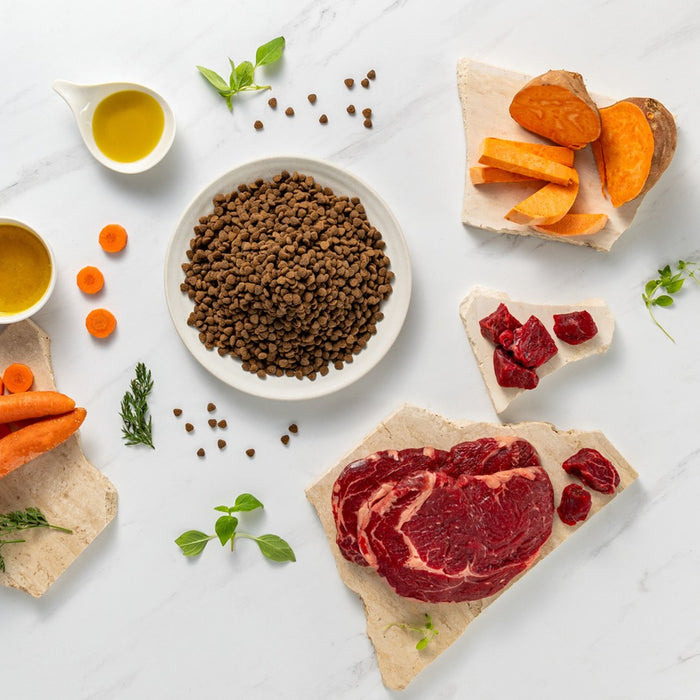 VETEXPERT Raw Paleo Ultra Mini Puppy Beef - dry food for puppies of small breeds - 750 g