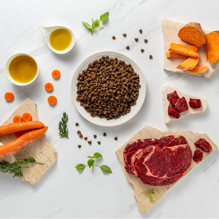 VETEXPERT Raw Paleo Ultra Medium&Large Adult Beef - dry dog food - 10 kg