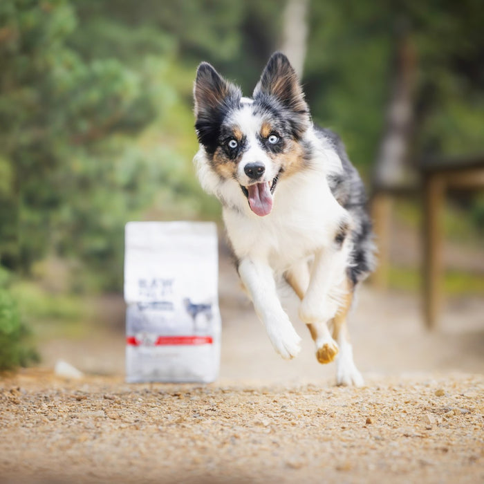 VETEXPERT Raw Paleo Ultra Medium&Large Puppy Beef - dry food for puppies - 10 kg