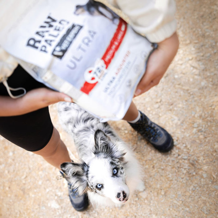 VETEXPERT Raw Paleo Ultra Medium&Large Puppy Beef - dry food for puppies - 10 kg