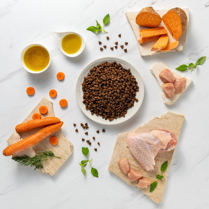 VETEXPERT Raw Paleo Ultra Mini Adult Turkey - dry dog food - 750 g