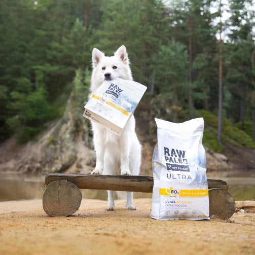 VETEXPERT Raw Paleo Ultra Medium&Large Adult Turkey - dry dog food - 2 kg