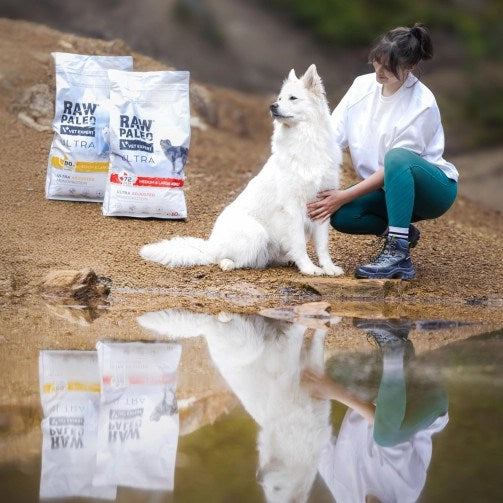 VETEXPERT Raw Paleo Ultra Medium&Large Adult Turkey - dry dog food - 2 kg