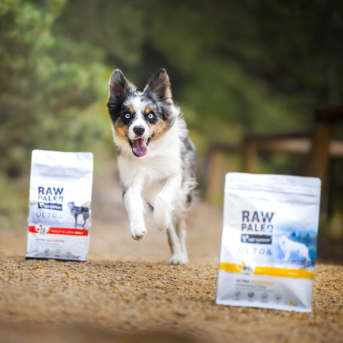 VETEXPERT Raw Paleo Ultra Medium&Large Puppy Turkey - dry food for puppies - 2 kg