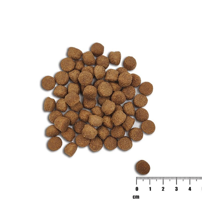 VETEXPERT Raw Paleo Healthy Grain Puppy Salmon and barley - dry dog food - 10 kg