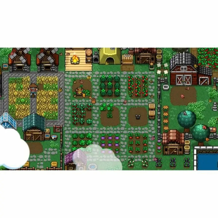 Video game for Switch Just For Games Cattle Country - Електроника Игри<<<Компютри| Електроника<<<BigBuy&&&Видео