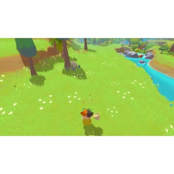 Video game for Switch Microids Petit Island - Електроника Игри<<<Компютри| Електроника<<<BigBuy&&&Видео